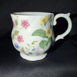 Queen's Fine Bone China Tea Cup Made In England Country Meadow Churchill Brand